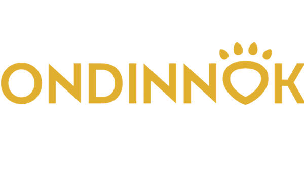 Ondinnok